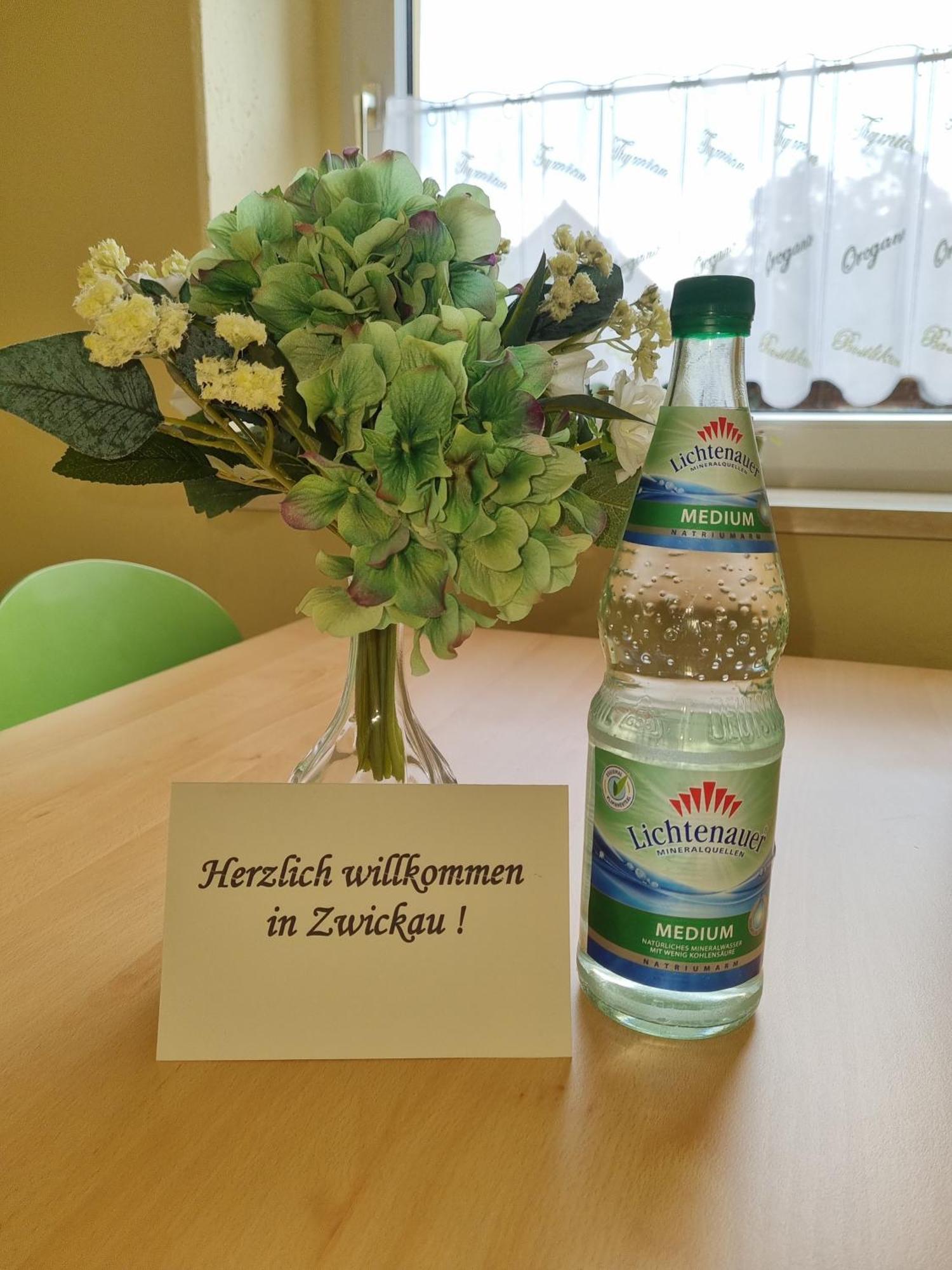 Ferienwohnung Im Zentrum Zwickaus ภายนอก รูปภาพ